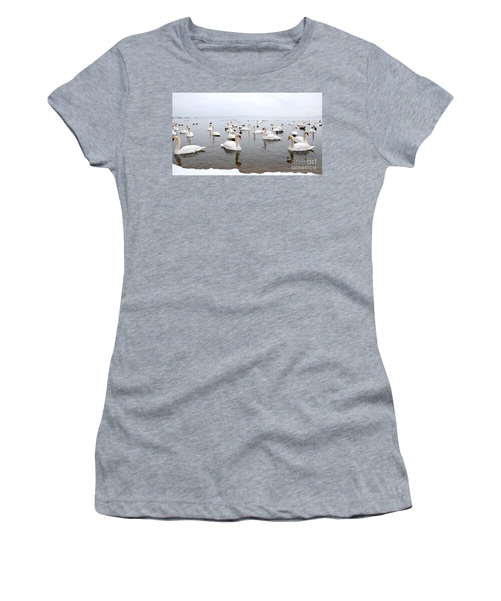 Swans Women's T-Shirt featuring the 60 Swans a Swimming by Laurel Best