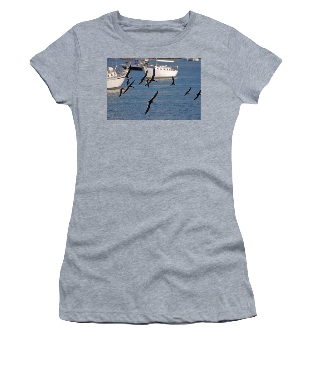  Women's T-Shirt featuring the photograph 7- Black Skimmer by Joseph Keane
