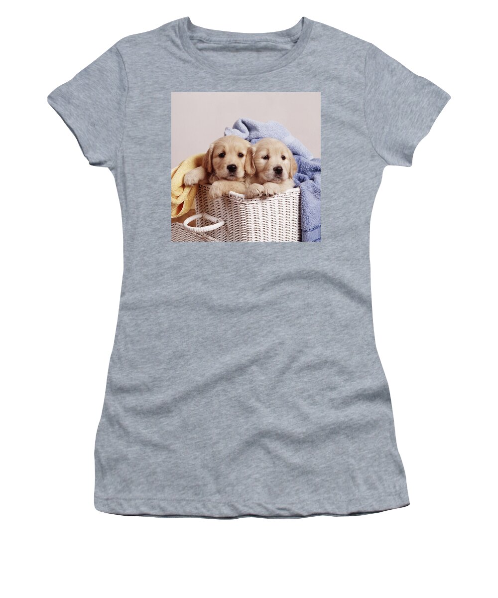 Dog Women's T-Shirt featuring the photograph Golden Retriever Puppies #7 by John Daniels