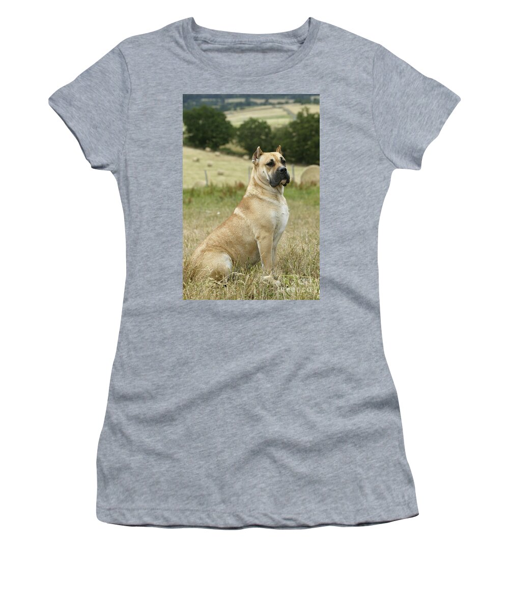 Canary Dog Women's T-Shirt featuring the photograph Canary Dog #8 by Jean-Michel Labat