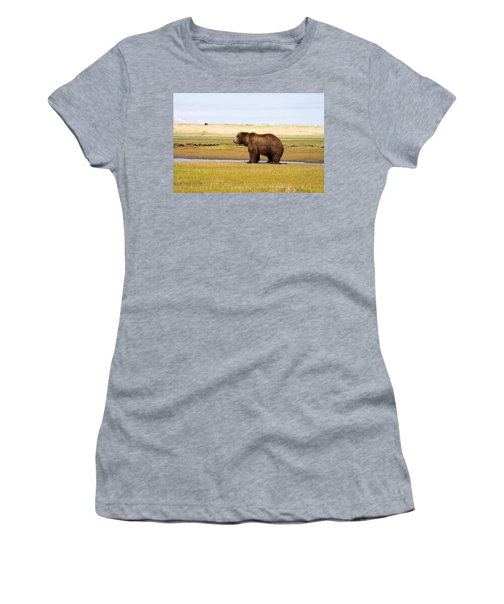 Grizzly Women's T-Shirt featuring the photograph Bear in Hallo Bay in Katmai National Park Alaska #9 by Natasha Bishop