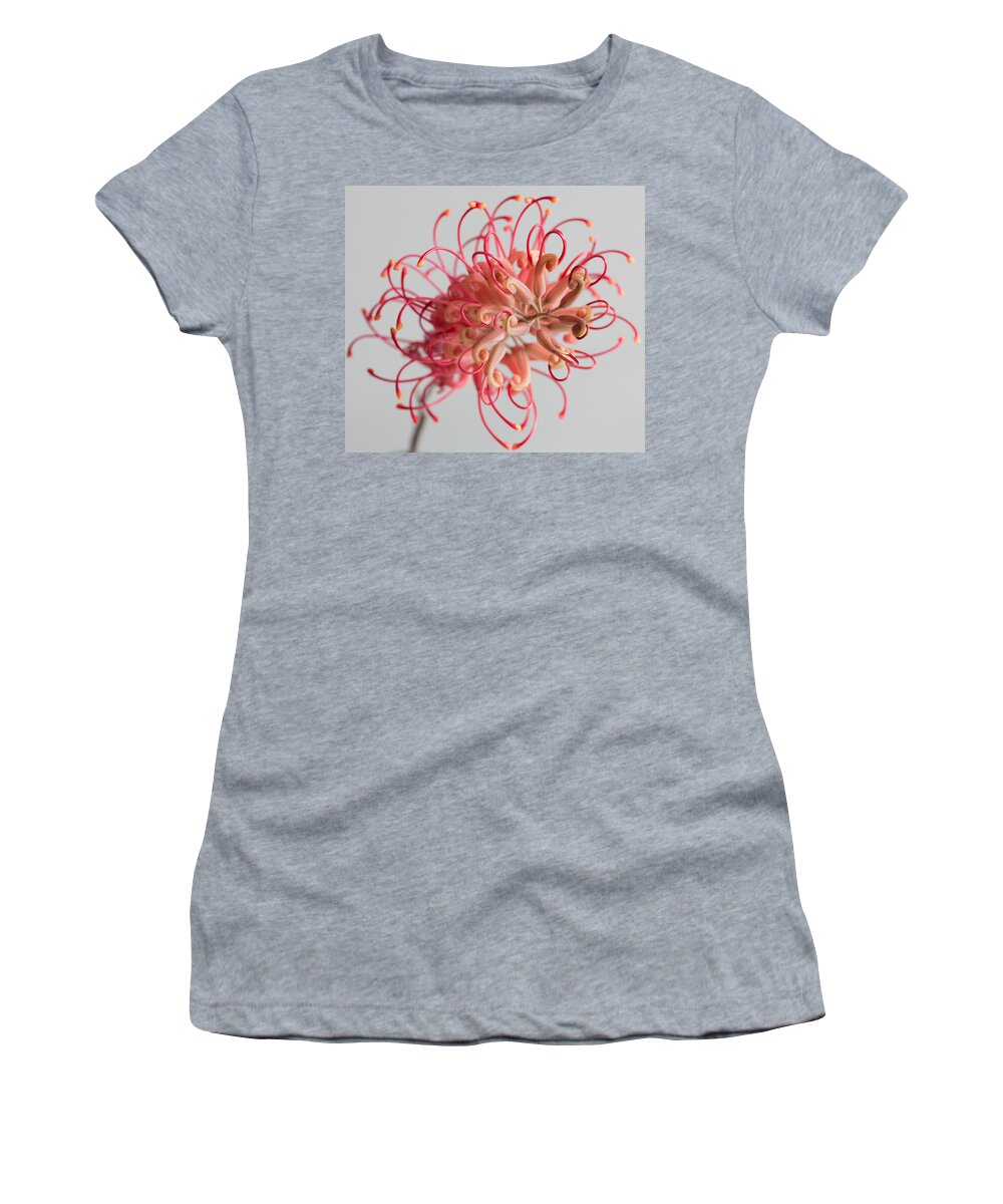 Grevillea Women's T-Shirt featuring the photograph Grevillea flower #9 by Shirley Mitchell