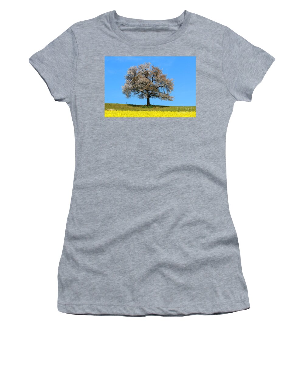 Agriculture Women's T-Shirt featuring the photograph A blooming lone Tree in Spring with canolas in front 2 by Amanda Mohler