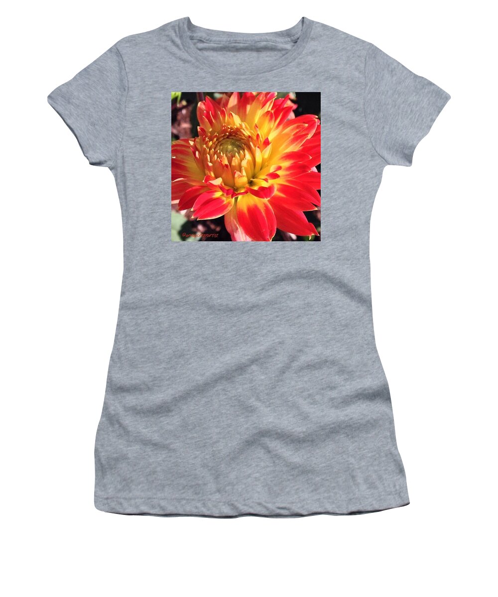 Orange Women's T-Shirt featuring the photograph A Burst Of Fall Color by Anna Porter