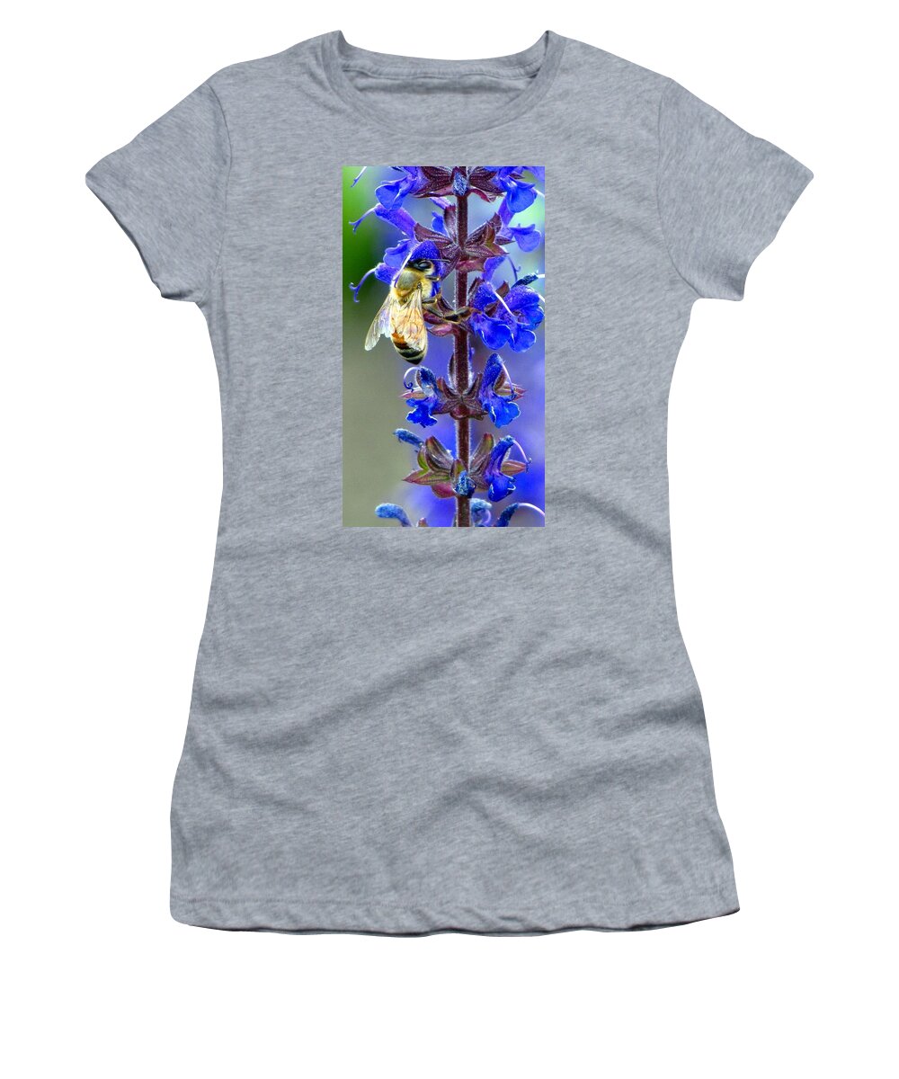 Carol R Montoya Women's T-Shirt featuring the photograph A European Honey Bee and It's Flowers by Carol Montoya