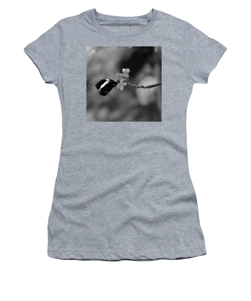 Butterfly Women's T-Shirt featuring the photograph A Gift by Aimee L Maher ALM GALLERY
