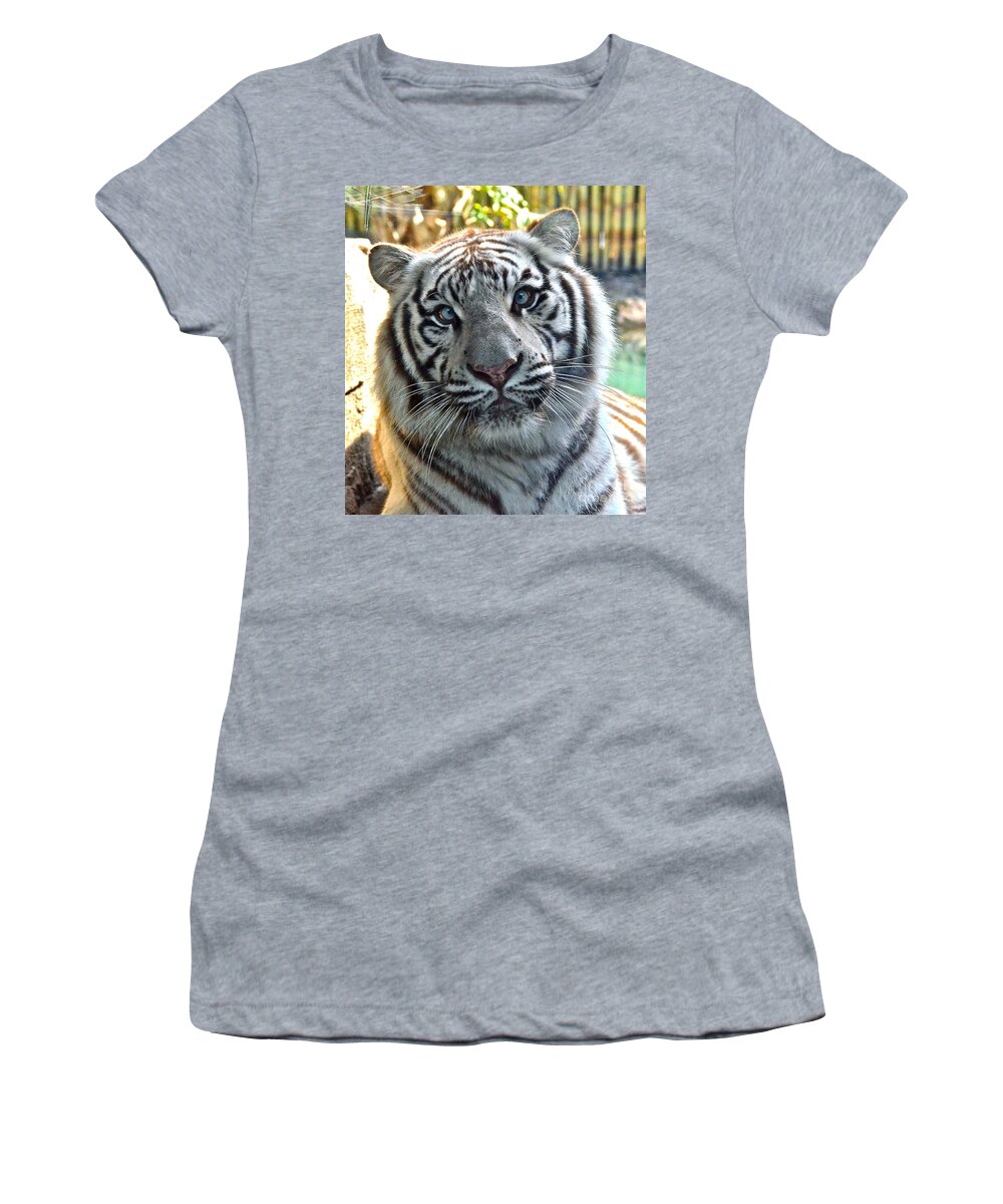 Tiger Women's T-Shirt featuring the photograph A Magnificent Face by Carol Bradley