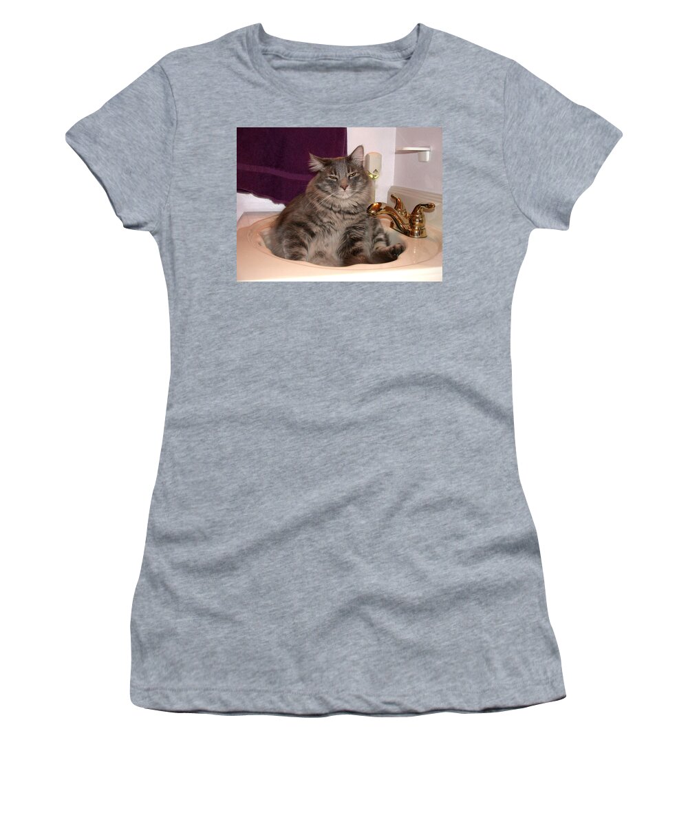 Cat Women's T-Shirt featuring the photograph A Place To Relax #1 by Shane Bechler
