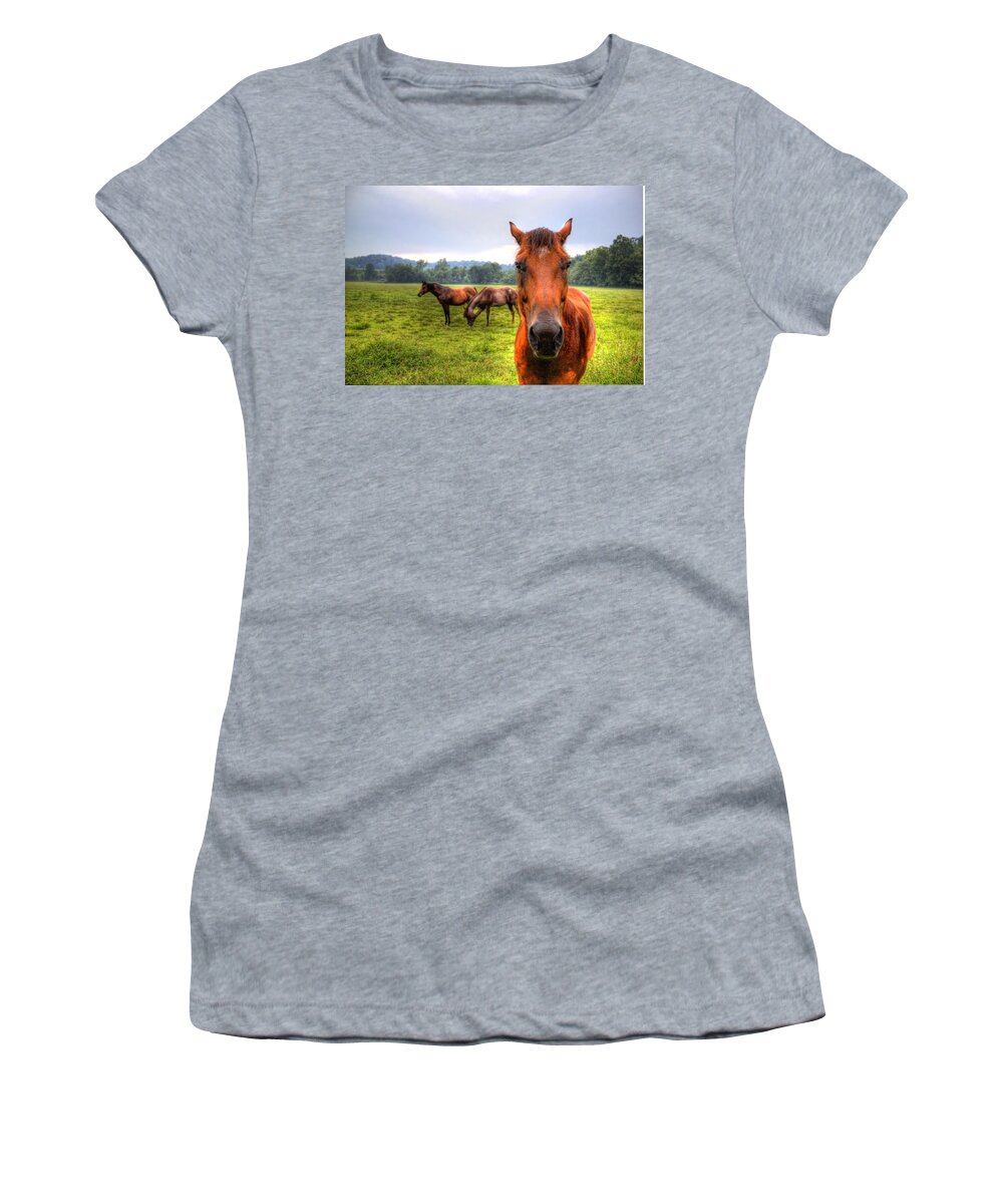 Horse Women's T-Shirt featuring the photograph A starring horse 2 by Jonny D