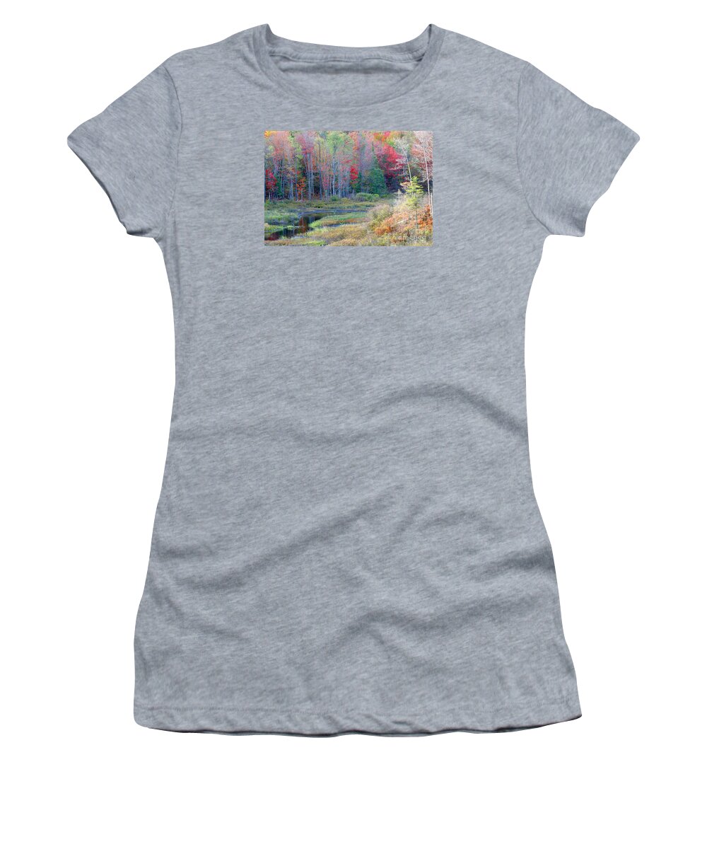 Trees Women's T-Shirt featuring the photograph Adirondack Fall by Mariarosa Rockefeller