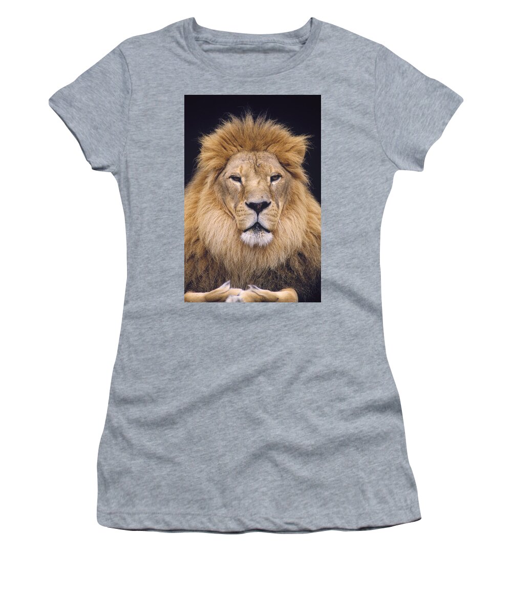 Feb0514 Women's T-Shirt featuring the photograph African Lion Male Portrait by Gerry Ellis