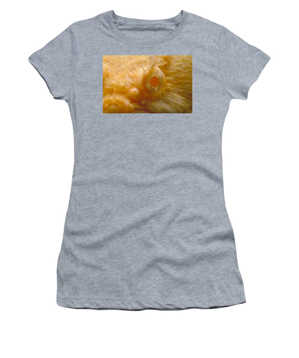 Albino Women's T-Shirt featuring the photograph Albino Oyster Toadfish by Robert Noonan