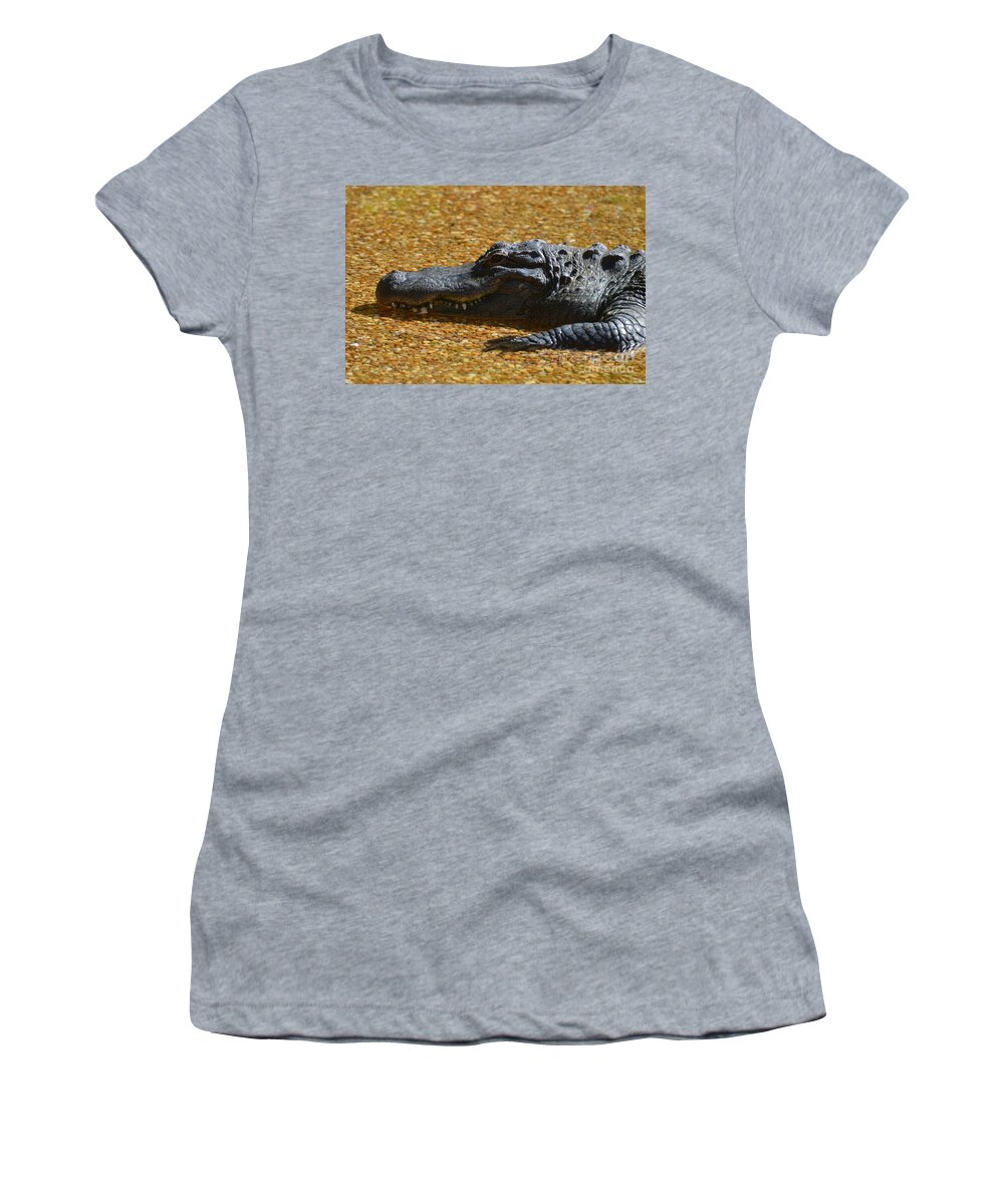 Alligator Women's T-Shirt featuring the photograph Alligator by DejaVu Designs