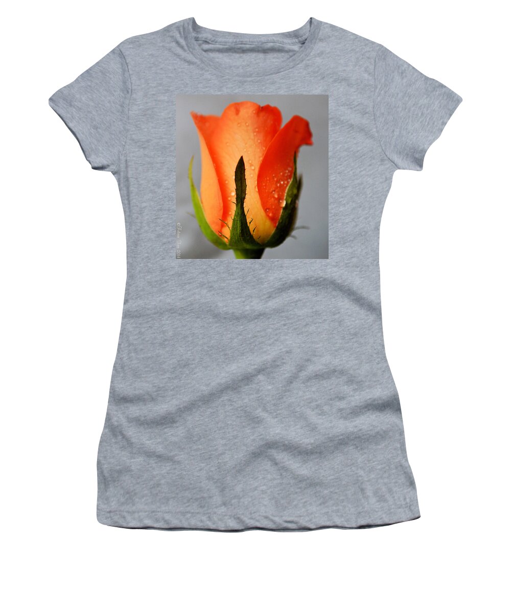 Rose Women's T-Shirt featuring the photograph Allure by Felicia Tica