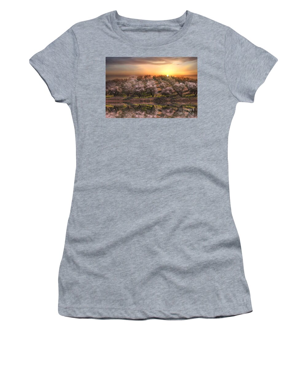 Grove Women's T-Shirt featuring the photograph Almonds by Stephanie Laird
