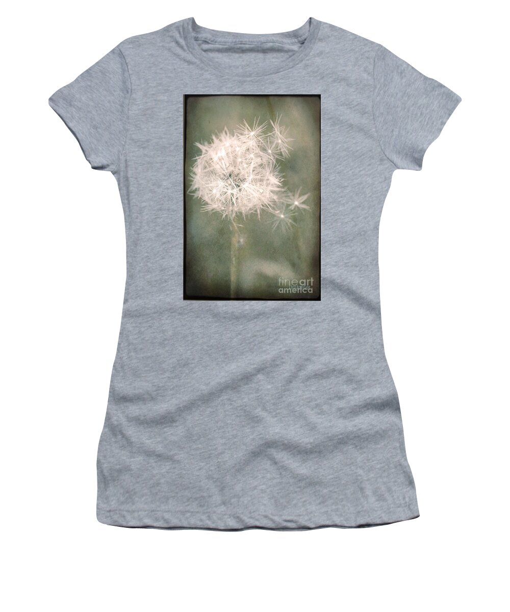 Dandelion Women's T-Shirt featuring the photograph Almost gone ... by Chris Armytage