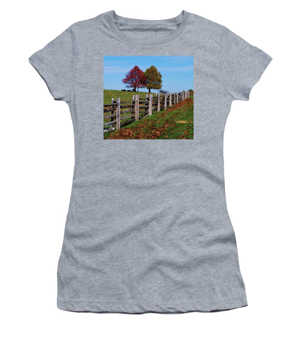 Trees Women's T-Shirt featuring the photograph Along the fence by Eric Liller