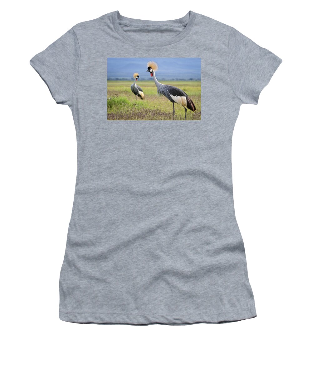 Africa Women's T-Shirt featuring the photograph Amboseli crowned cranes by Mike Gaudaur