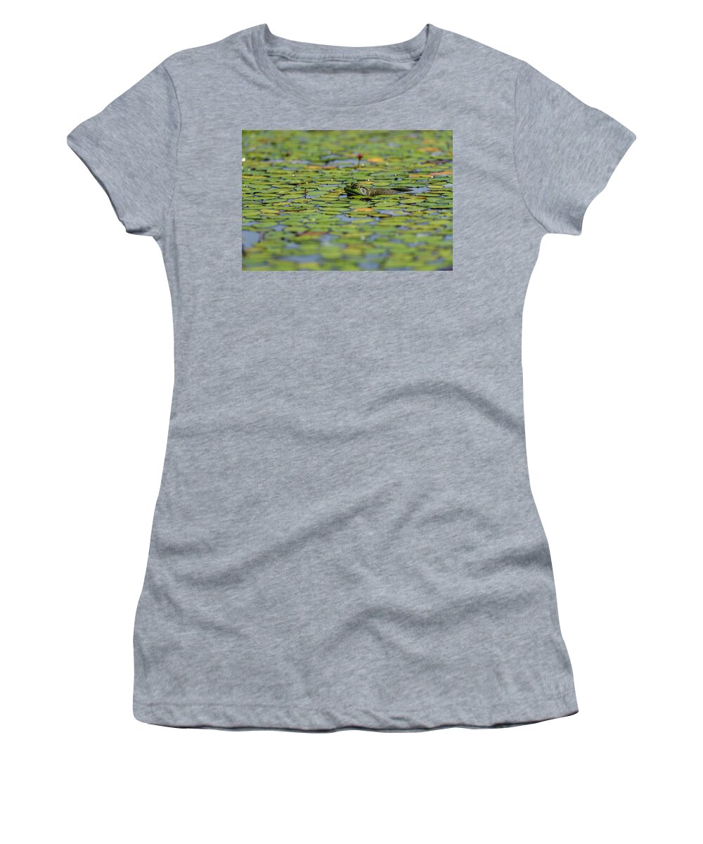 J. T. Nickel Family Nature And Wildlife Preserve Women's T-Shirt featuring the photograph An American Bullfrog Lithobates by Robert L. Potts