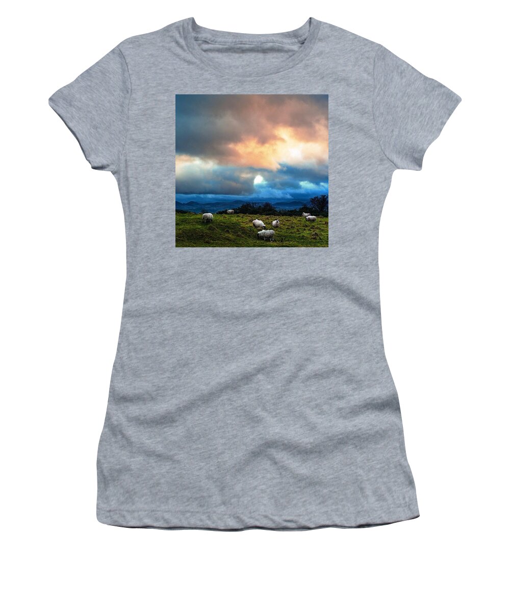 Sheep Women's T-Shirt featuring the photograph An Irish Day by Aleck Cartwright