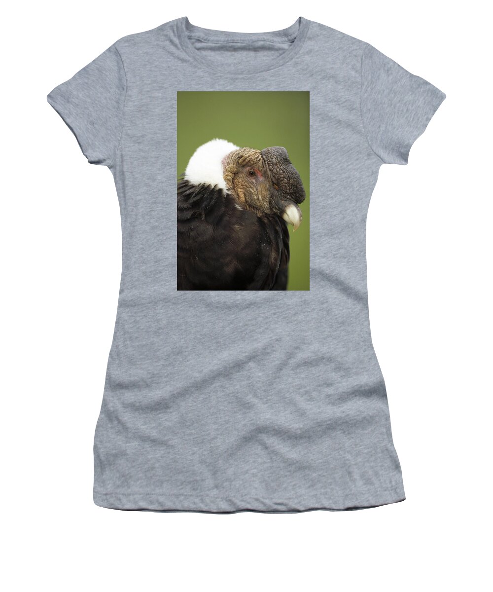 Feb0514 Women's T-Shirt featuring the photograph Andean Condor Male Raising Ruff by Tui De Roy