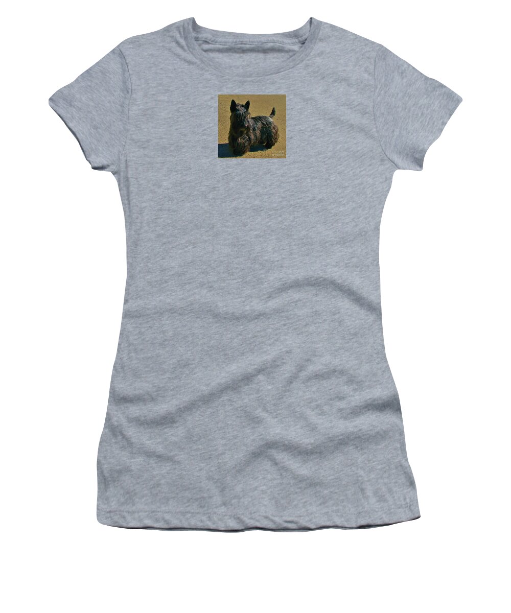 Scottish Terrier Women's T-Shirt featuring the photograph Angus by Michele Penner