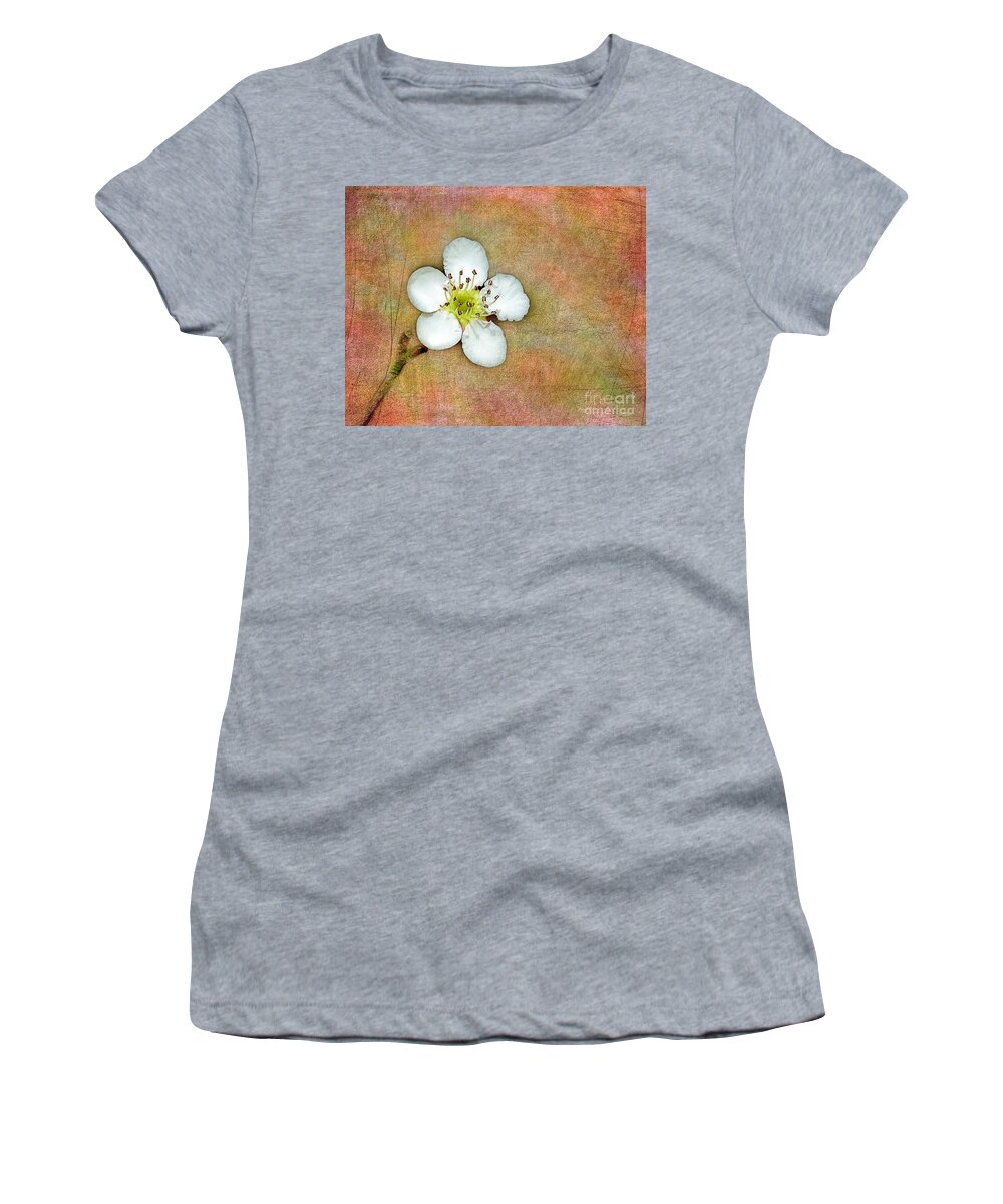 Apple Women's T-Shirt featuring the photograph Apple Blossom Time by Judi Bagwell