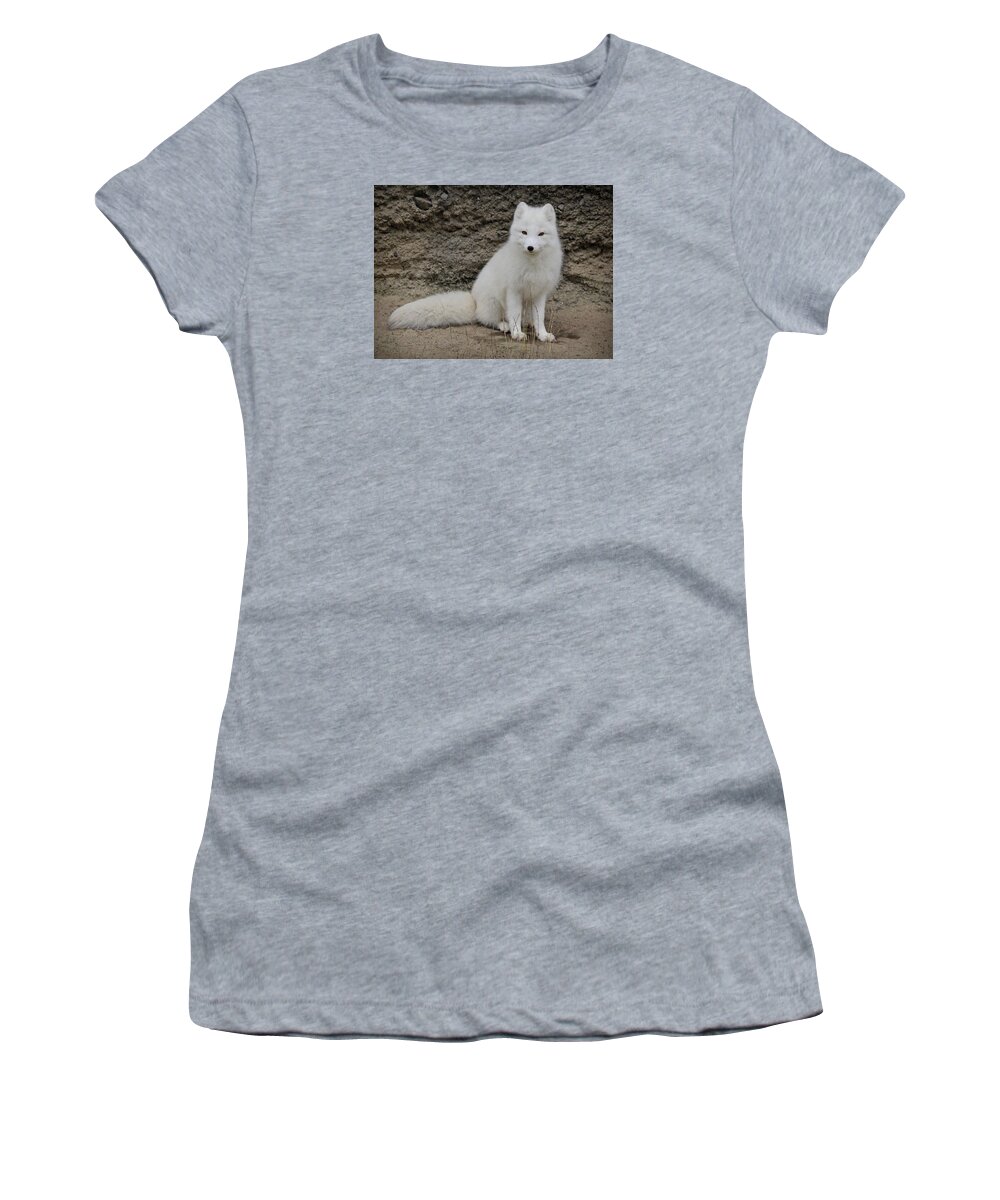 White Fox Women's T-Shirt featuring the photograph Arctic Fox by Athena Mckinzie