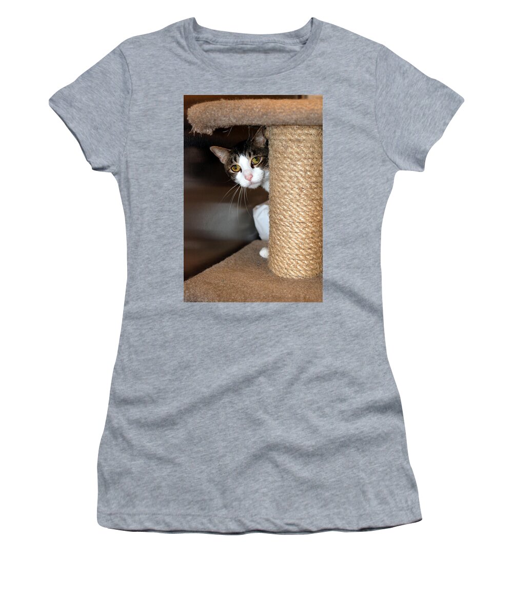 Cats Women's T-Shirt featuring the photograph Ari by John Greco