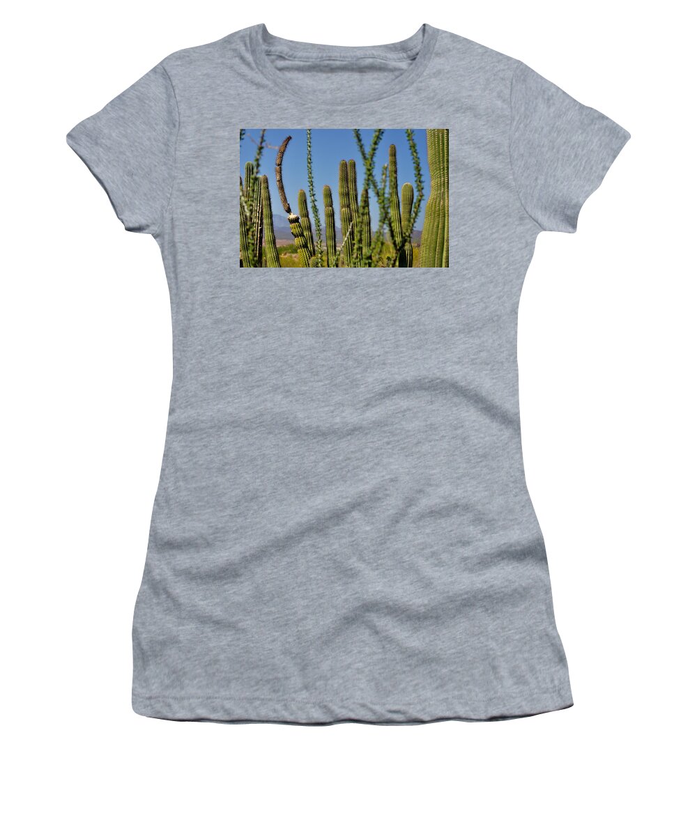 Arizona Women's T-Shirt featuring the photograph Arizona Saguaro in Focus - Greeting Card by Mark Valentine
