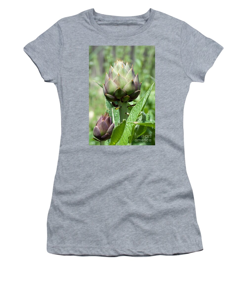 Artichoke Women's T-Shirt featuring the photograph Artichokes by Gwyn Newcombe