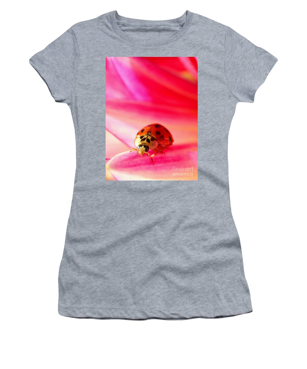 Red Women's T-Shirt featuring the photograph Asian Lady Beetle 2 by Amanda Mohler