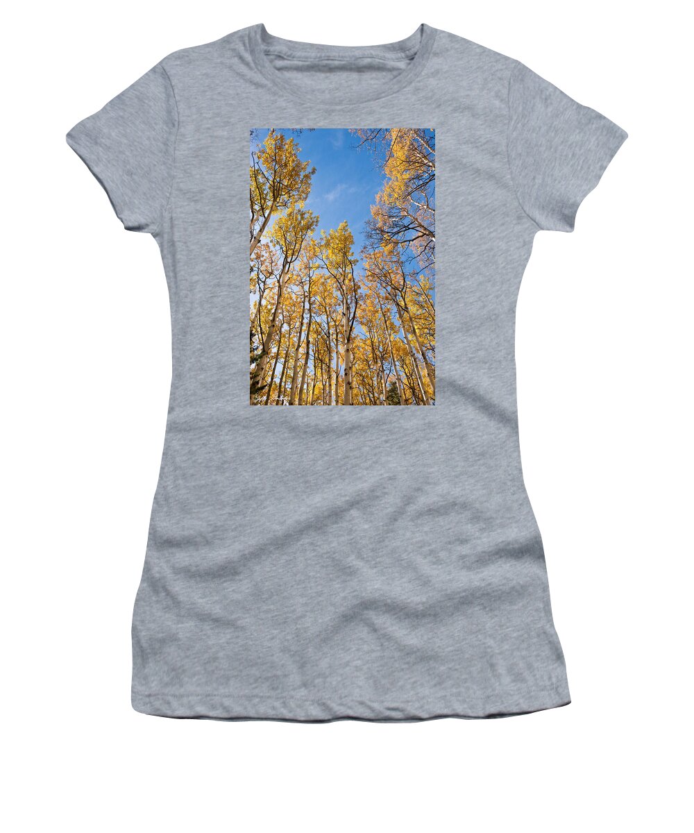 Arizona Women's T-Shirt featuring the photograph Aspen Trees in the Fall by Jeff Goulden