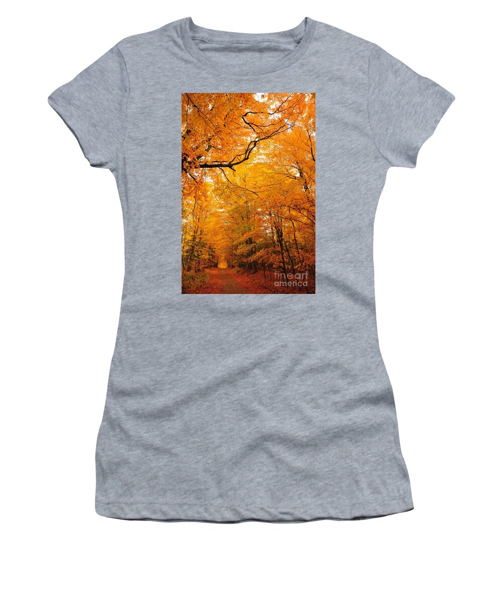 Autumn Women's T-Shirt featuring the photograph Autumn Tunnel of Trees 2 by Terri Gostola