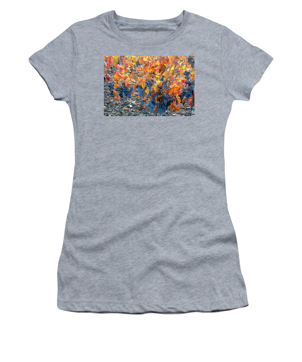 Grapes Women's T-Shirt featuring the photograph Autumn Vineyard Sunlight by Carol Groenen