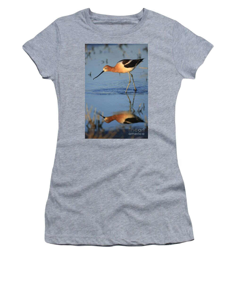 Landscapes Women's T-Shirt featuring the photograph Avocet Mirror by John F Tsumas