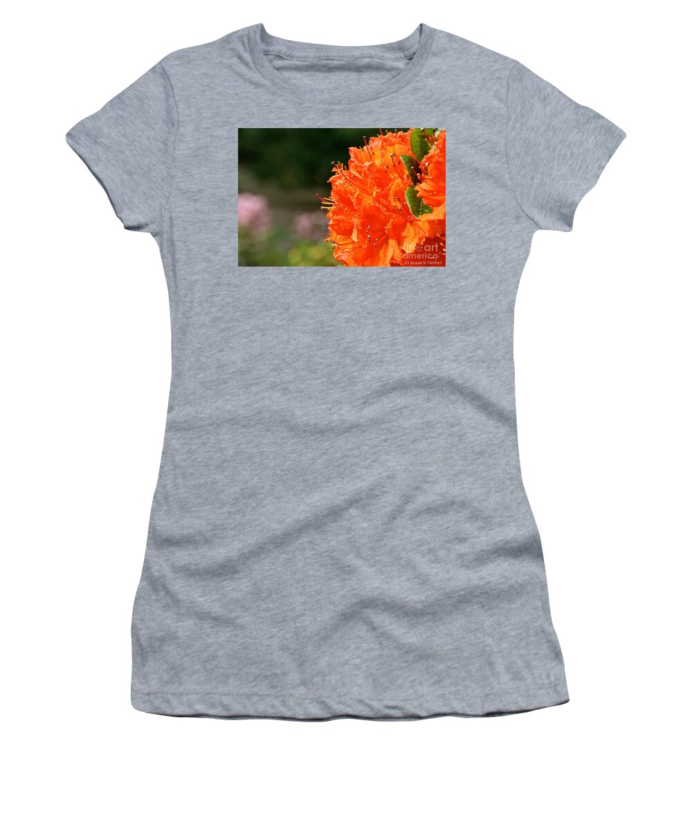 Flower Women's T-Shirt featuring the photograph Azalea Profile by Susan Herber