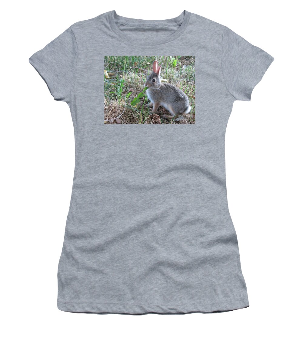 Baby Bunny Women's T-Shirt featuring the photograph Baby Bunny Eating Dandelion #01 by Ausra Huntington nee Paulauskaite