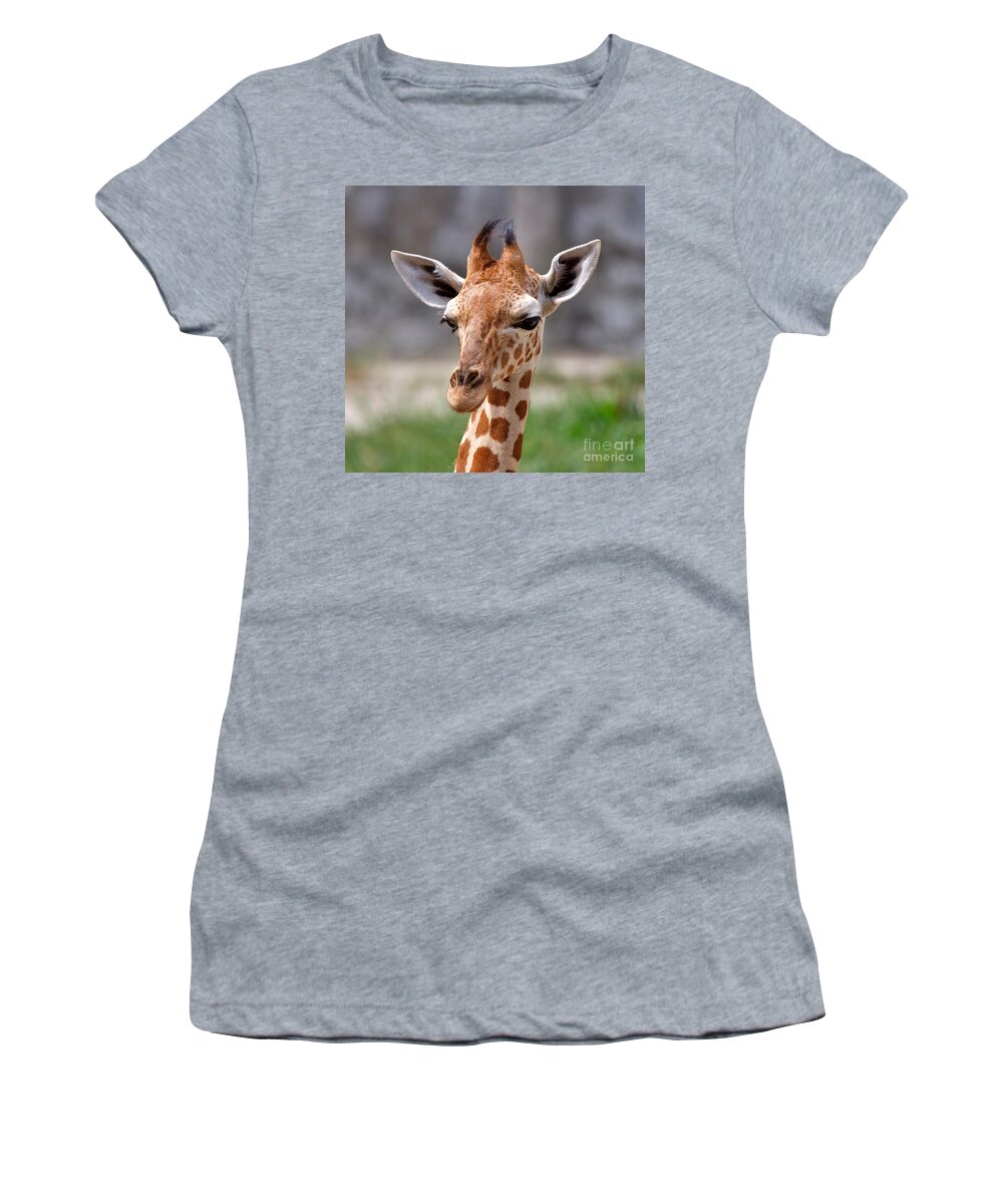 Nature Women's T-Shirt featuring the photograph Baby Giraffe by Louise Heusinkveld