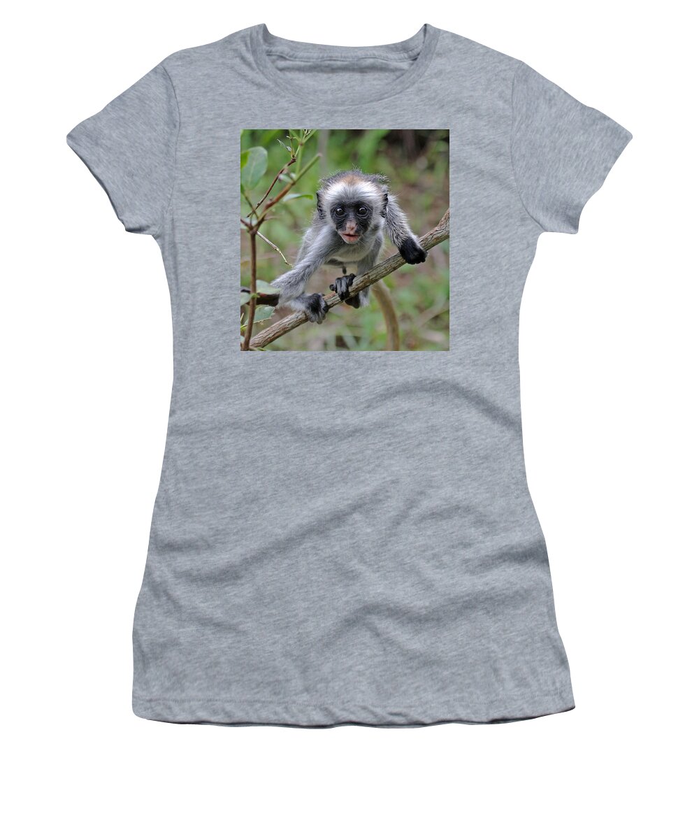 Red Colobus Women's T-Shirt featuring the photograph Baby Red Colobus Monkey by Tony Murtagh