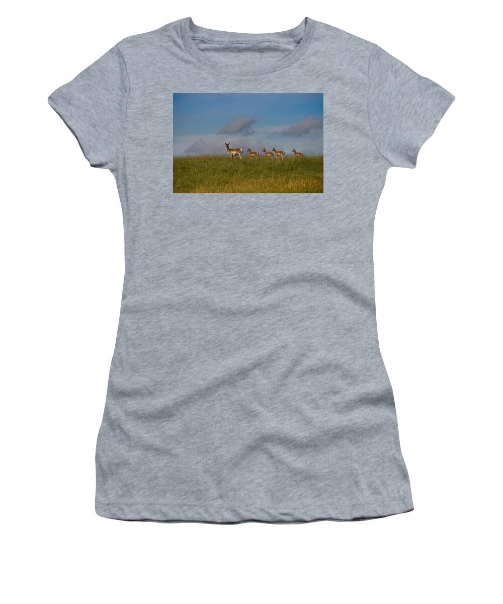Antelope Women's T-Shirt featuring the photograph Babysitting - Antelope - Johnson County - Wyoming by Diane Mintle