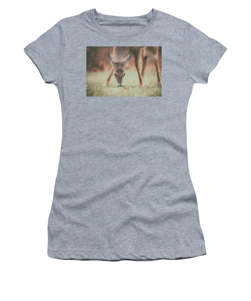 Natures Winter Visit Women's T-Shirt featuring the photograph Backyard Beauty by Karol Livote