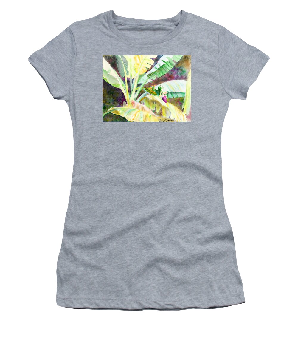 Tropical Paintings Women's T-Shirt featuring the painting Banana Tree by C Sitton