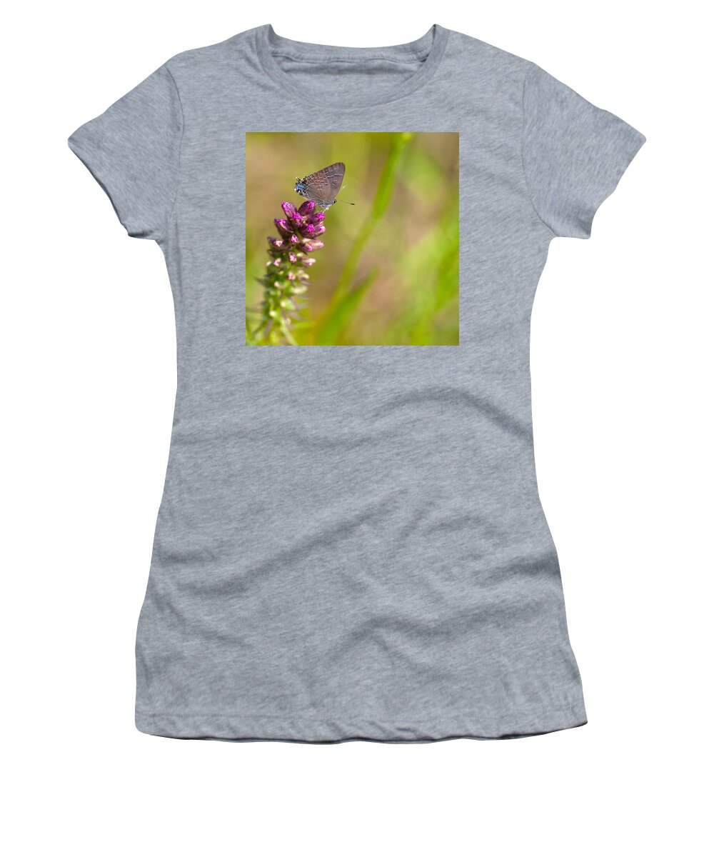 Banded Hairstreak Women's T-Shirt featuring the photograph Banded Hairstreak Butterfly by Melinda Fawver