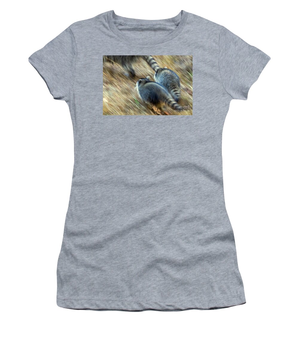 Animal Women's T-Shirt featuring the photograph Bandits on the Run by Kate Brown