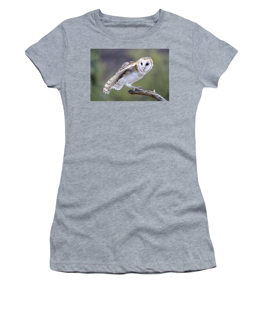 Nature Women's T-Shirt featuring the photograph Barn Owl by Mark Newman