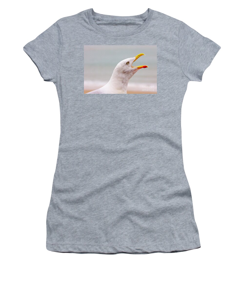 Hungry Seagull Women's T-Shirt featuring the photograph Beak by Jeremy Hayden