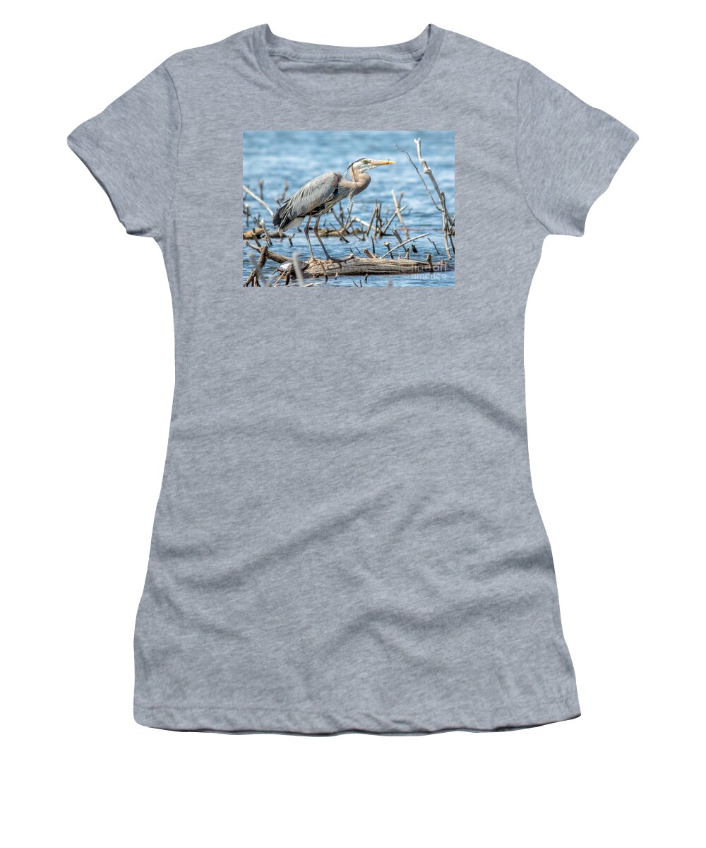 Swamp Scene Women's T-Shirt featuring the photograph Beautiful Blue Heron by Cheryl Baxter