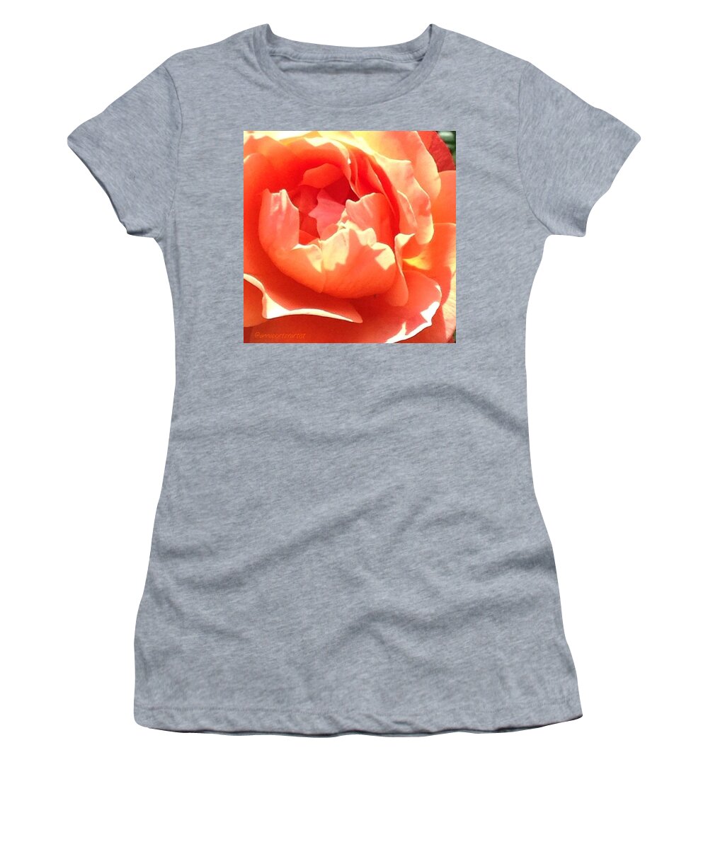 50shadesoforange Women's T-Shirt featuring the photograph Beautiful Orange Rose In A Neighbor's by Anna Porter