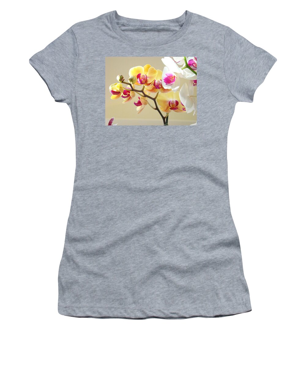 Orange Women's T-Shirt featuring the photograph Beautiful Orchids Floral art Prints Orchid Flowers by Patti Baslee